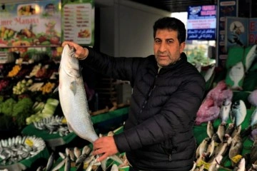 Tezgahlarda kofana bolluğu yaşanıyor